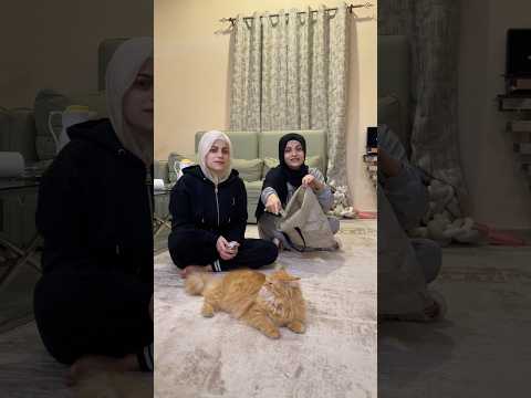 تحدي القطة ام سيف ونانو