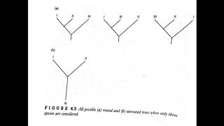 Lecture31 : Cladogram