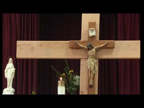 Homilia da Missa do 7º  Domingo do Tempo Comum