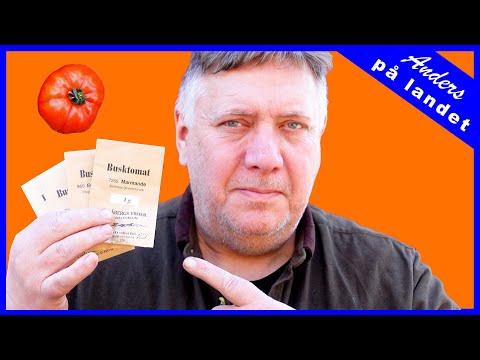 , title : 'Så tomater – allt du behöver veta'