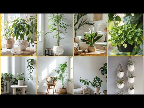 Transform Your Space With Boho Landform Decor