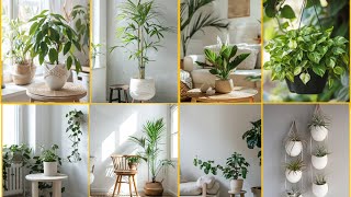 10 Fresh Boho Plants Decor Tips To Transform Your Space