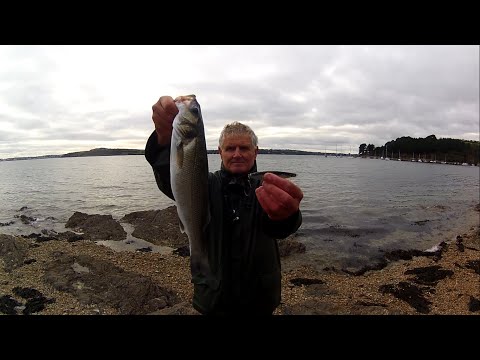 Lure Fishing for Bass over Shallow Rough Ground using a Metal Lure