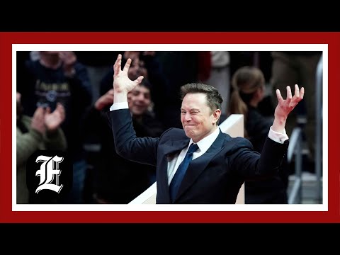 Elon Musk shielded by ethics loophole as Trump 'special government employee'