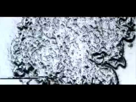 #Tekkor #TXT001 (11/2016)