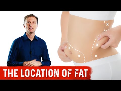 What are Enzymes and How do They Work Dr Berg