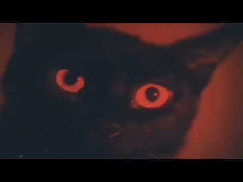 ✧ Epsyle — Couture [ slowed + reverb ] ✧