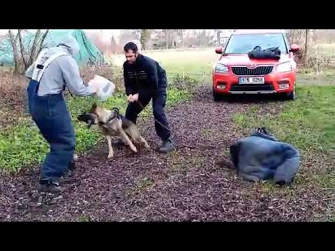 Vincent z Jukasu - 8 months