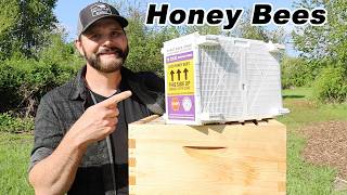 100% Homegrown Honey. How To Keep Honey Bees and Harvest Honey 1st year -Growing Your Own Farm Food.