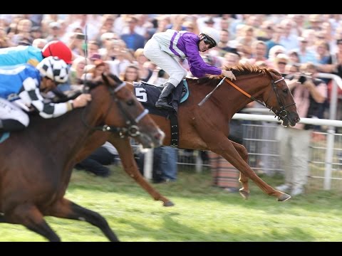 Köln: 54. Preis von Europa (Gruppe I) - Siegerin: Nightflower