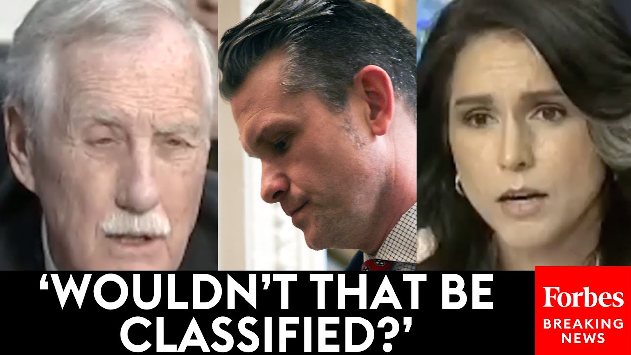 MUST WATCH: King Grills Tulsi Gabbard About What Pete Hegseth Allegedly Wrote In Leaked War Plans