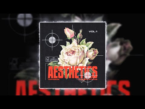 *FREE* Live Guitar Loop Kit "Aesthetics Vol. 1" - Ambient Gunna, Polo G, NBA Youngboy, Lil Baby, etc