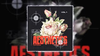*FREE* Live Guitar Loop Kit "Aesthetics Vol. 1" - Ambient Gunna, Polo G, NBA Youngboy, Lil Baby, etc