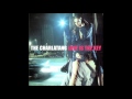 The Charlatans - Love Is The Key - Beecy The Charlatans - Love Is The Key
