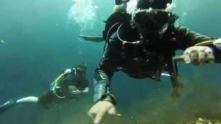 preview picture of video 'Cenote Dive #2 Uitsan'