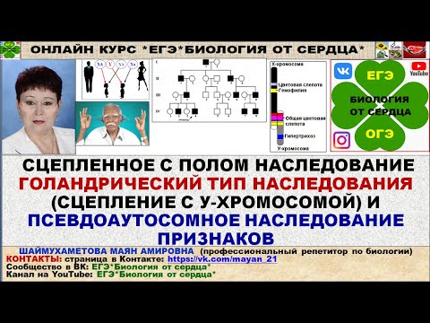 НОВЫЕ ТИПЫ ГЕНЕТИЧЕСКИХ ЗАДАНИЙ ЛИНИИ 28 НА ГОЛАНДРИЧЕСКИЙ И ПСЕВДОАУТОСОМНЫЙ ТИП НАСЛЕДОВАНИЯ