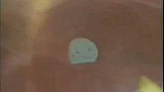 Sneaker Pimps live - 04 - Sick