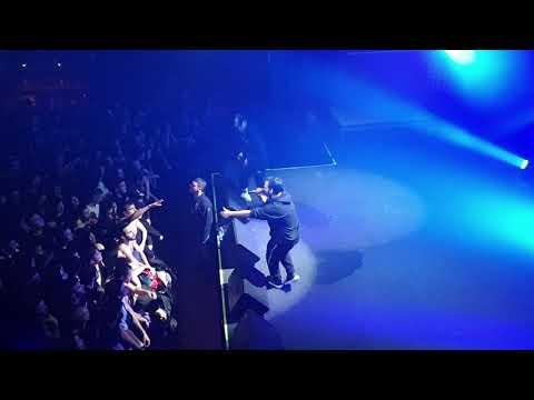 Novel 729 LIVE / Fer de lance - Εσοπλισμός.