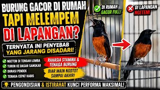 Download lagu Birds Singing at Home But Sluggish in the Field? This Turns Out to Be a Rarely Realized Cause! mp3