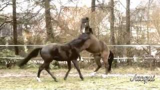 It ain&#39;t a Party !