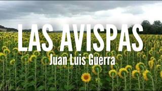 Las Avispas - Juan Luis Guerra (Letra)