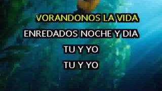 RICKY MARTIN   TU Y YO karaoke
