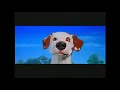 Nickelodeon Movies 2002 Dog Widescreen