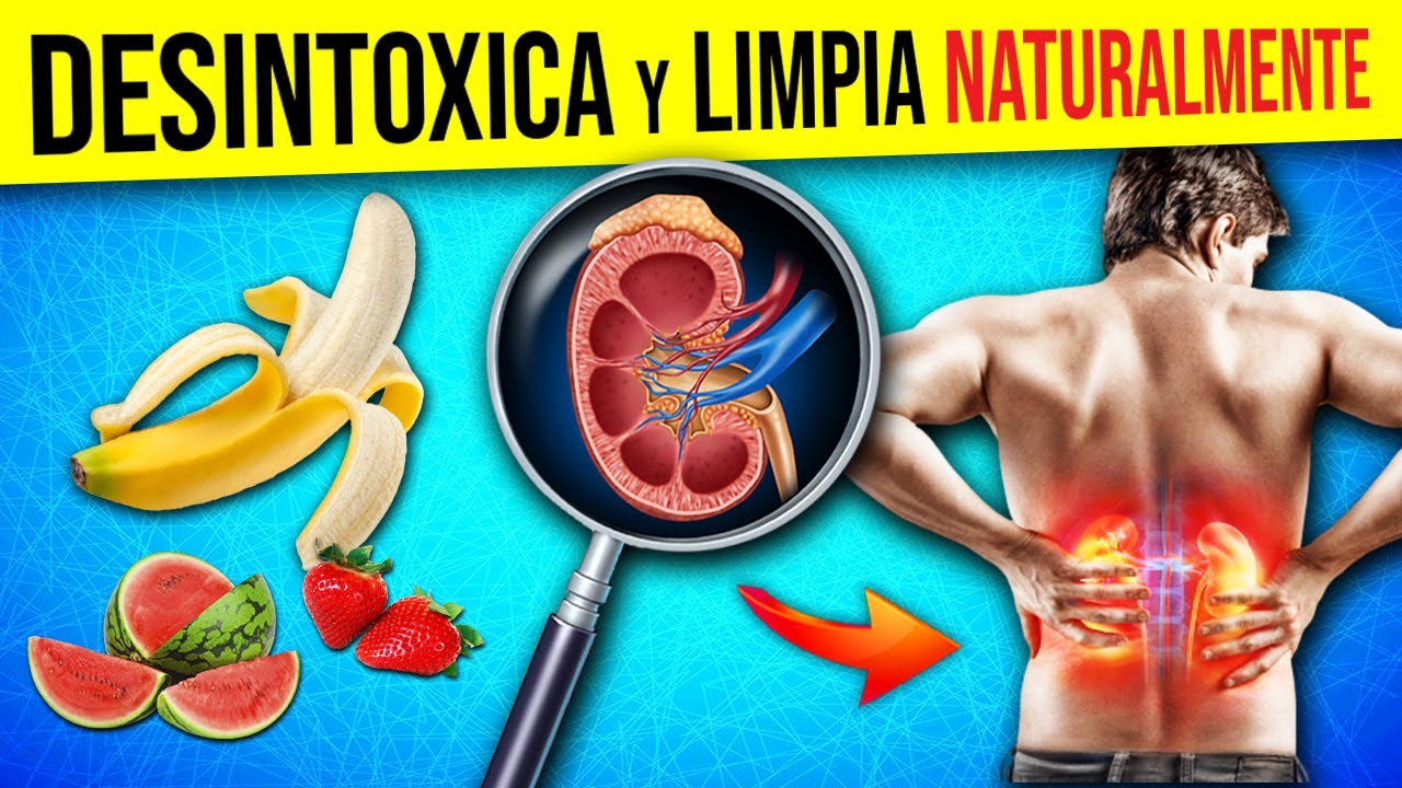 𝙇𝘼 𝙇𝙄𝙎𝙏𝘼: 🍉 Alimentos para DESINTOXICAR RIÑONES
