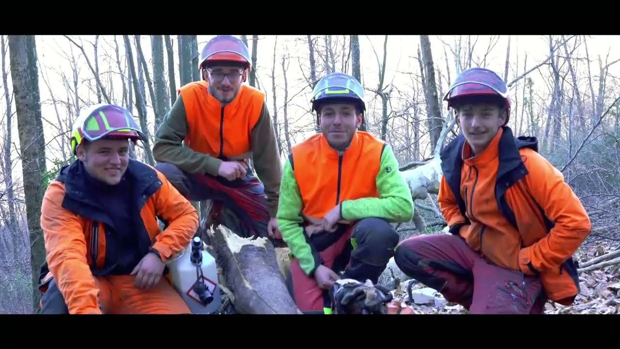 BPA Travaux forestiers- Bucheronage- Apprentis-témoignages-Paul, Maxence, Mael, Alexandre.