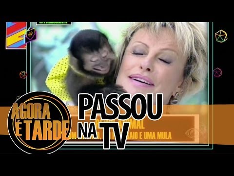 Passou na TV - Agora é Tarde - 22/05/2014