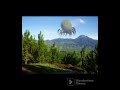 Unnerving Images With Minecraft Cave Sounds Low Pitch Part 20 Pls Read A Description