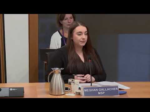 Local Government, Housing and Planning Committee - 26 October 2021