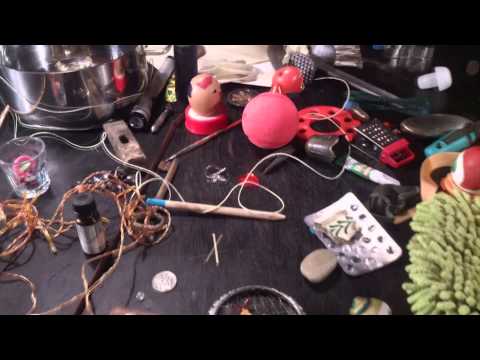 Skinny Joe Line - Skinny Joe Line: Moth staring outside