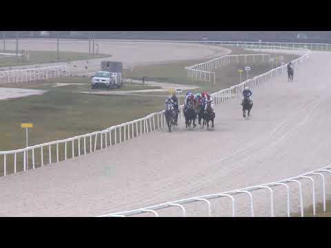 2018.11.25. 04. futam - NYERETLEN KÉTÉVESEK VERSENYE (IV.kat.) II. rész (szintetikus pálya)