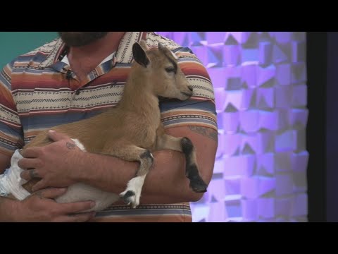 Muddy Hooves Farm - YouTube