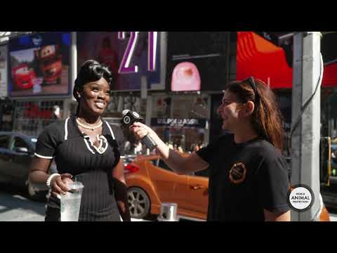 World Animal Protection Asks NYC: What is a CAFO?