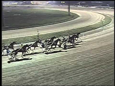 Trotto 20/01/2015 - 7° Corsa