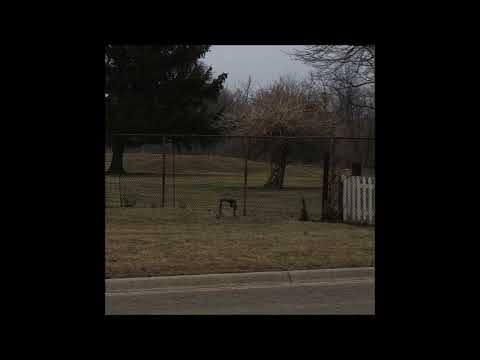 02. Bones & Dylan Ross - TheIvy (Produced by Dylan Ross)