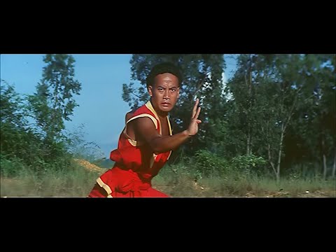 The South Shaolin Master (1984)