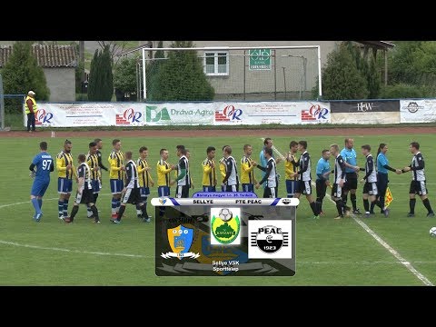 SELLYE VSK O ÉS R - PTE PEAC PANNON ÁSVÁNY 2 - 6 (0 - 3)