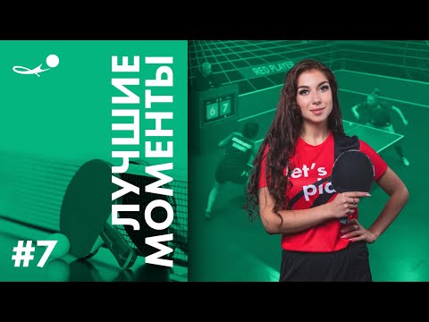 Новосад, Козачук, Мыдвецкая, Прищепа | Лучшие моменты #7 | SETKA CUP