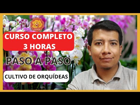 , title : 'Curso Gratis de Cultivo de Orquídeas | Cómo Cultivar Orquídeas Fácil Siendo Principiante 2023'