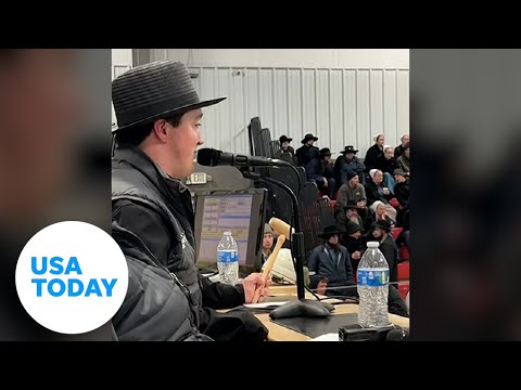 Fast-talking auctioneer speeds through bids during Ohio horse auction | USA TODAY
