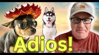 How To Turn Away Dogs You Don't Want To Train (Pro Dog Trainer Tips)