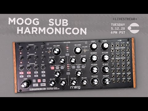 Moog Subharmonicon Livestream