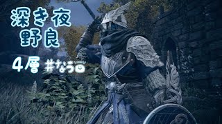 ［野良］初心に帰る深き夜4層［NIGHTREIGN ナイトレイン］