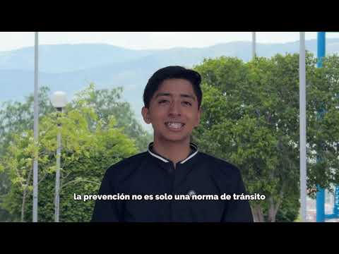 La verdad sobre Alcohol