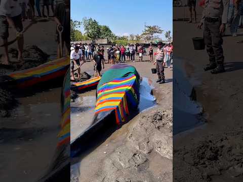 Penyelamatan paus terdampar #shorts #minivlog #comedy #sidoii