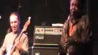 Susan Tedeschi~Feeling Music Brings