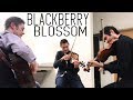 Blackberry Blossom - Leftwich, Workman, Barnett
